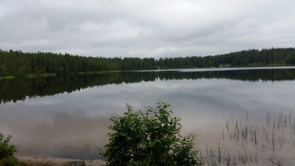 Vitjsön - Morgon