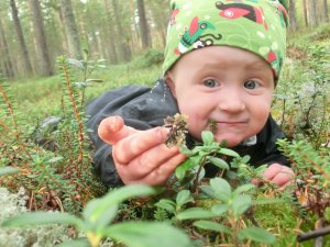 Vackra vÃ¤gen