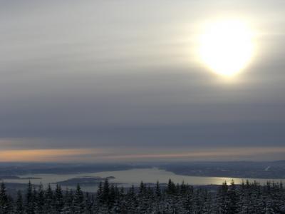 Voksenkollen