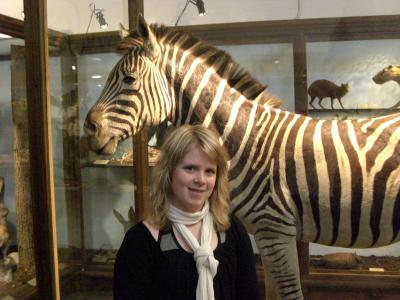 Zebra Anna
